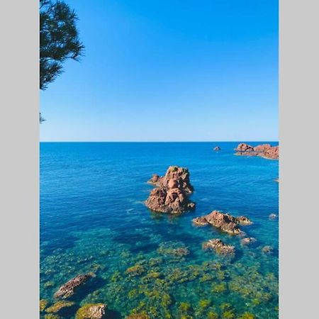Superbe 4 Couchages Avec Terrasse - Clim - 50M De La Mer Saint-Raphael  Bagian luar foto