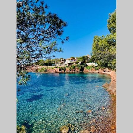 Superbe 4 Couchages Avec Terrasse - Clim - 50M De La Mer Saint-Raphael  Bagian luar foto