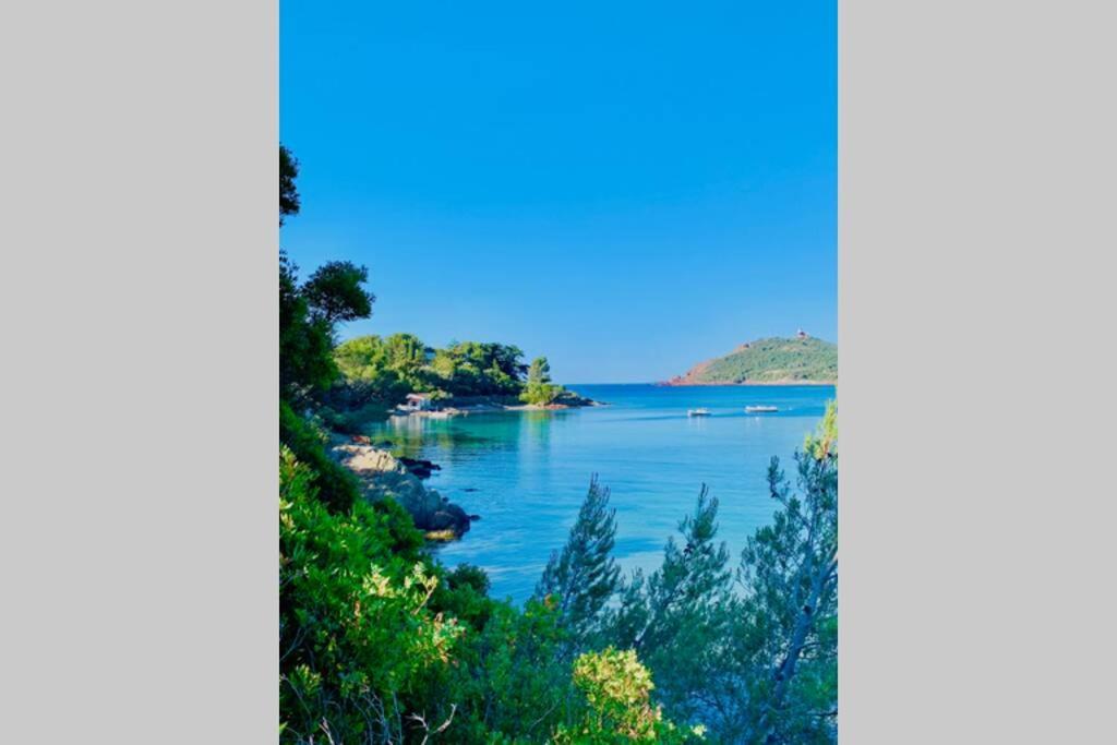 Superbe 4 Couchages Avec Terrasse - Clim - 50M De La Mer Saint-Raphael  Bagian luar foto