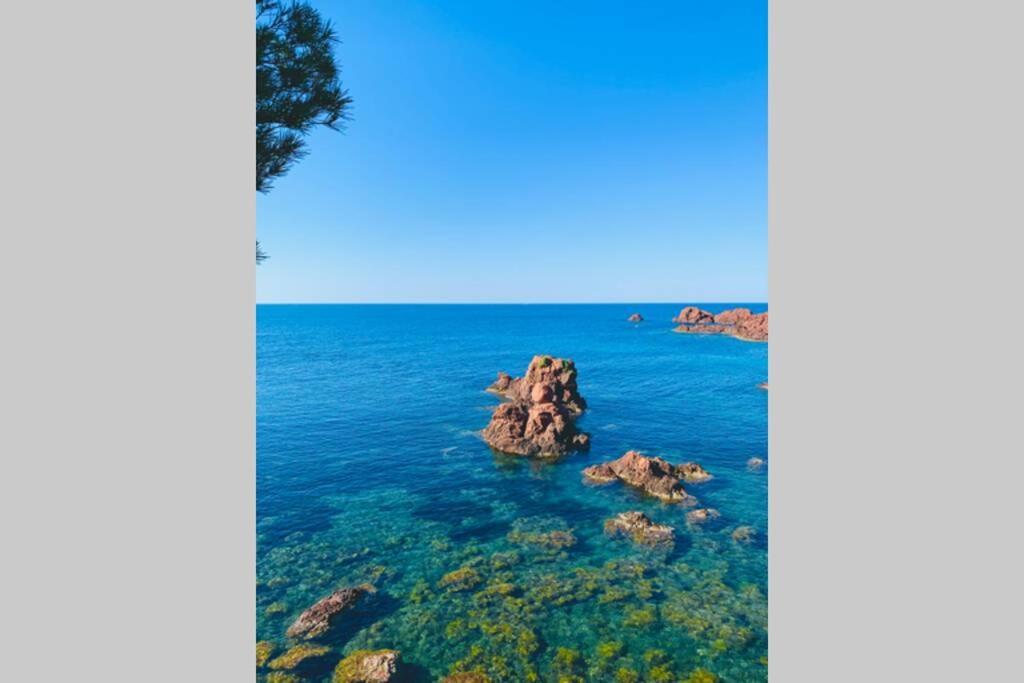 Superbe 4 Couchages Avec Terrasse - Clim - 50M De La Mer Saint-Raphael  Bagian luar foto
