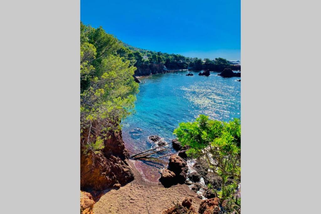 Superbe 4 Couchages Avec Terrasse - Clim - 50M De La Mer Saint-Raphael  Bagian luar foto