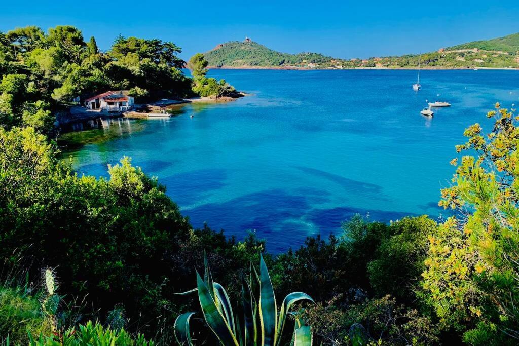 Superbe 4 Couchages Avec Terrasse - Clim - 50M De La Mer Saint-Raphael  Bagian luar foto