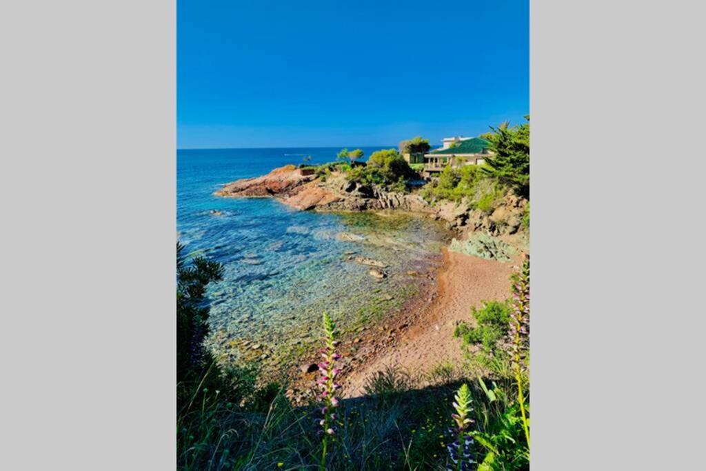 Superbe 4 Couchages Avec Terrasse - Clim - 50M De La Mer Saint-Raphael  Bagian luar foto