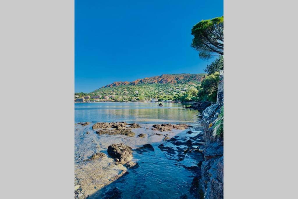 Superbe 4 Couchages Avec Terrasse - Clim - 50M De La Mer Saint-Raphael  Bagian luar foto