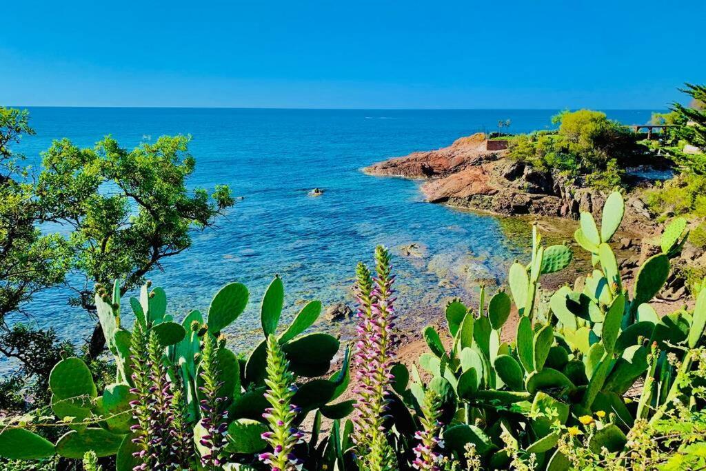 Superbe 4 Couchages Avec Terrasse - Clim - 50M De La Mer Saint-Raphael  Bagian luar foto