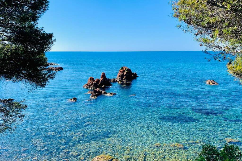 Superbe 4 Couchages Avec Terrasse - Clim - 50M De La Mer Saint-Raphael  Bagian luar foto